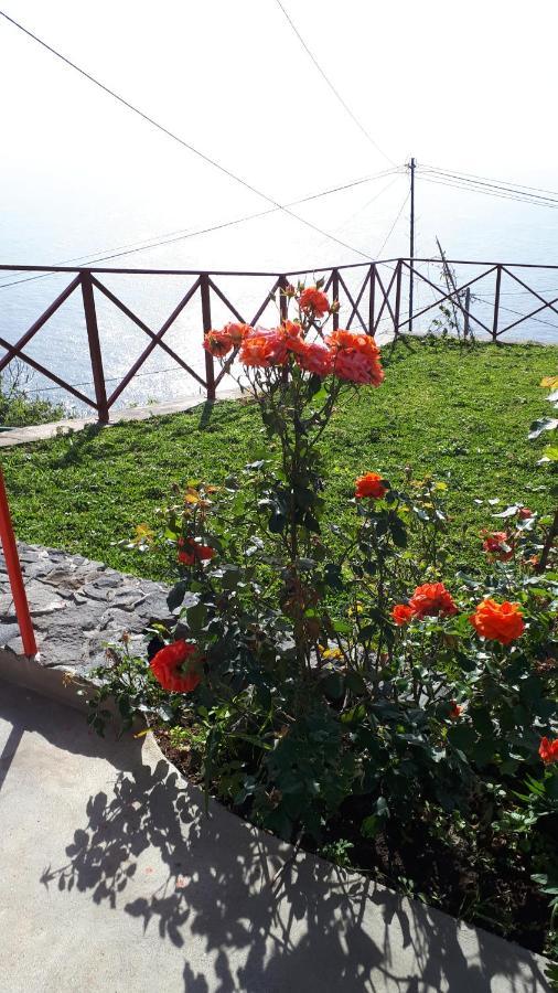 Casa Villa Dinastia Sotao Y Casa Villa Dinastia Miramar Ribeira Brava Exteriér fotografie