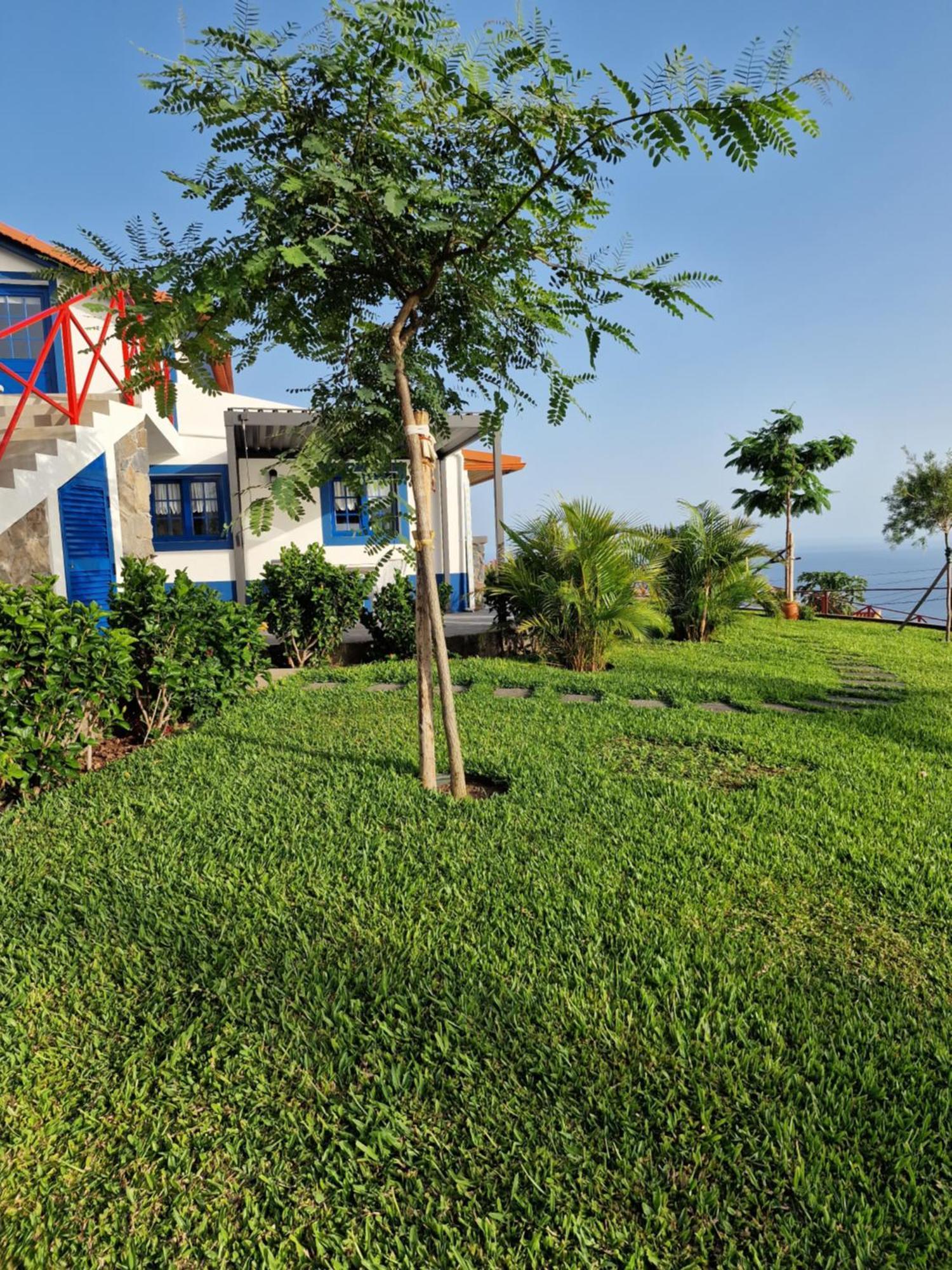 Casa Villa Dinastia Sotao Y Casa Villa Dinastia Miramar Ribeira Brava Exteriér fotografie