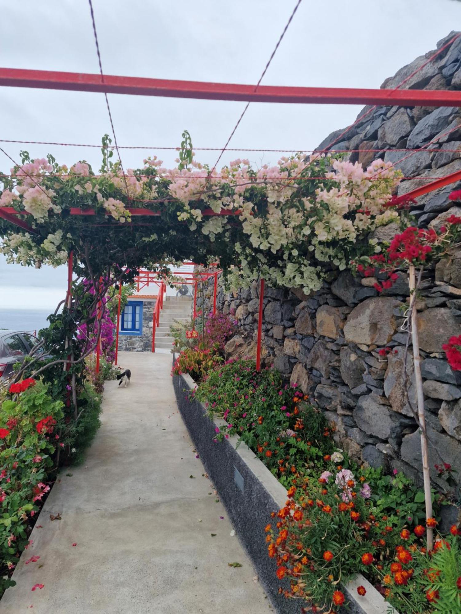 Casa Villa Dinastia Sotao Y Casa Villa Dinastia Miramar Ribeira Brava Exteriér fotografie